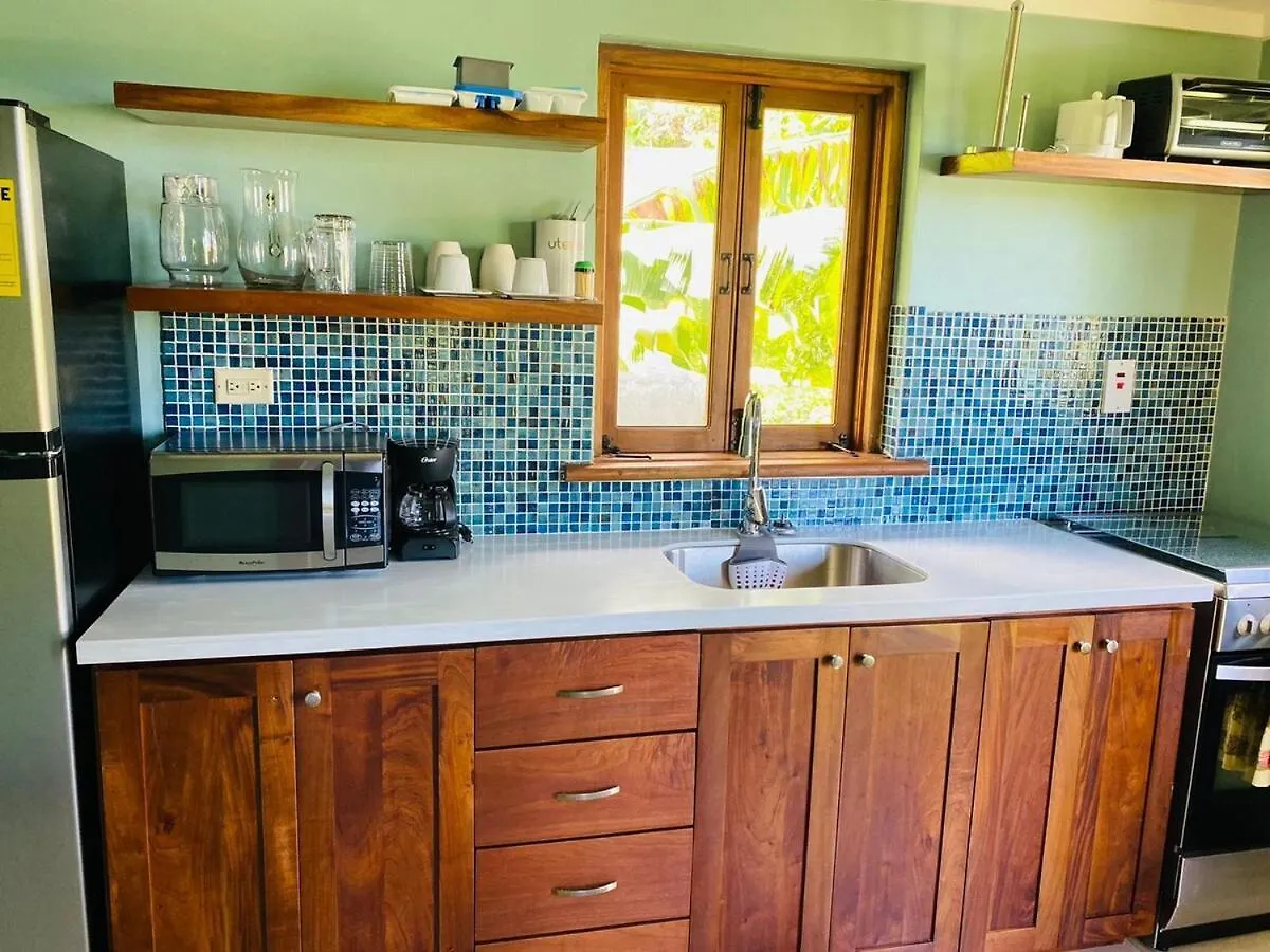 Luxury Villa With Private Pool In Oracabessa